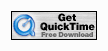 QT 

download